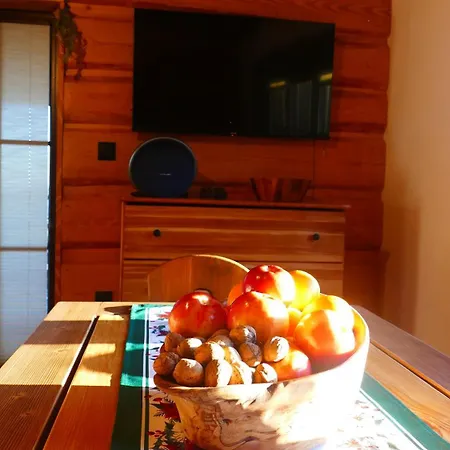 Dom wakacyjny Pod Dębem *